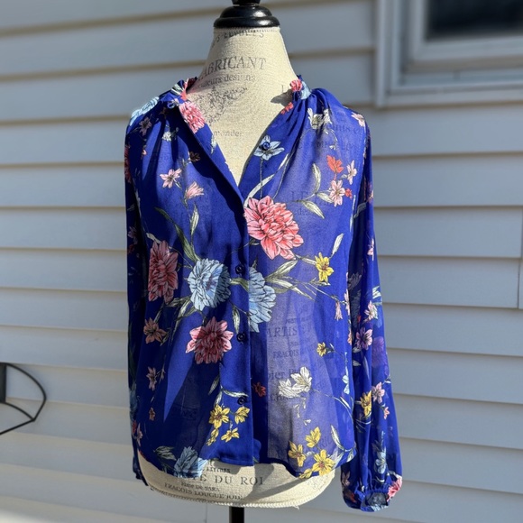 NWT Women’s Express Sheer Blouse - Picture 1 of 5